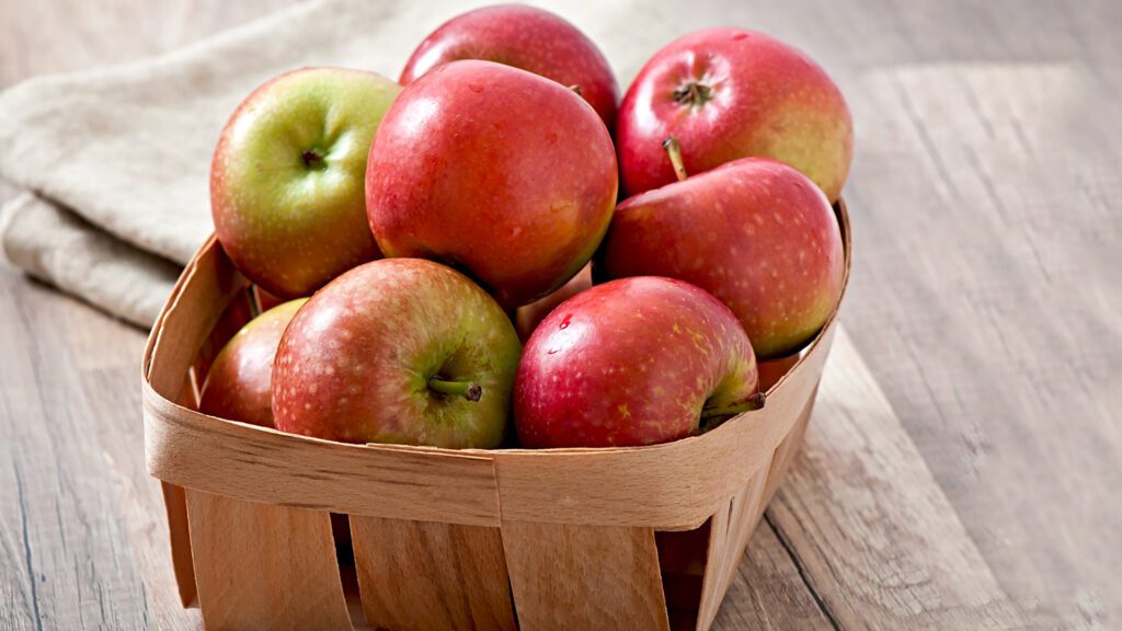 Apple Health Benefits for Hamsters.