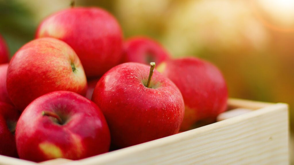 Benefits of Apples for hamsters.