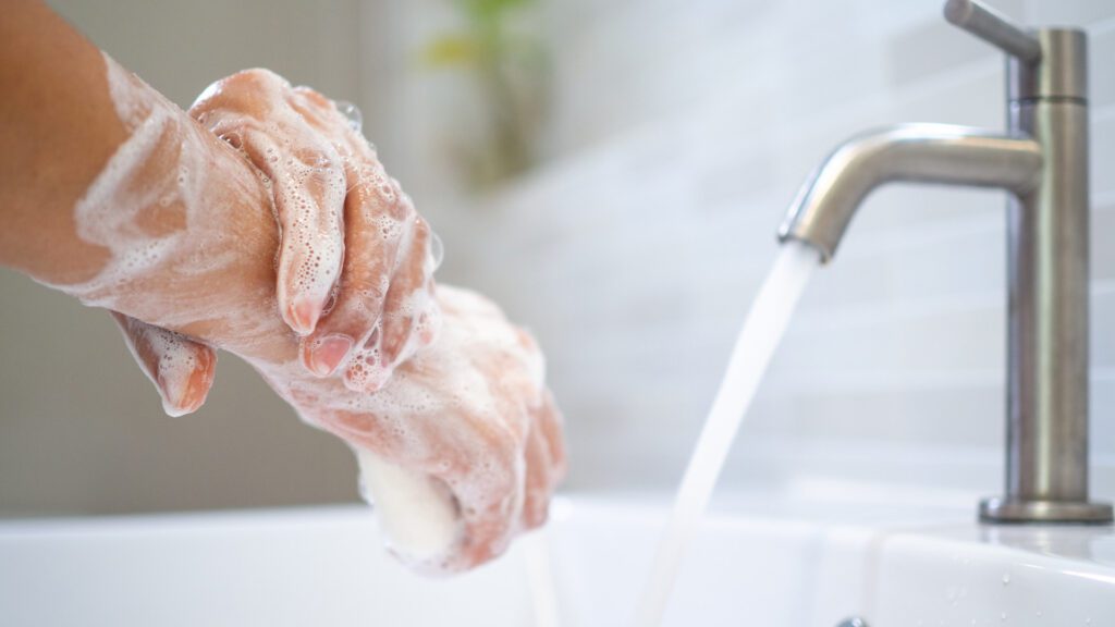 wash your hand s before handling hamster.