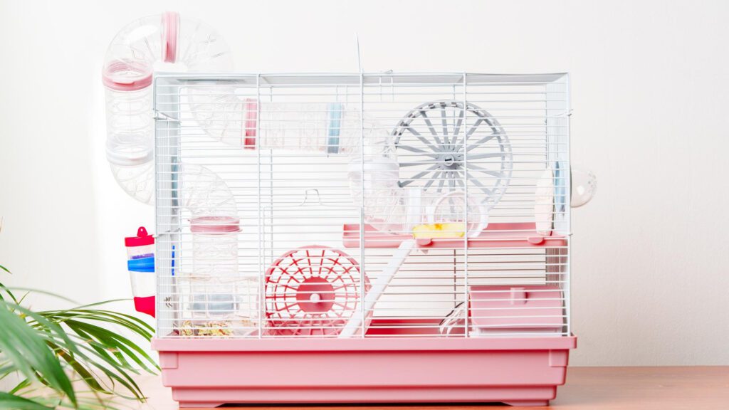 Modular cages for hamster.
