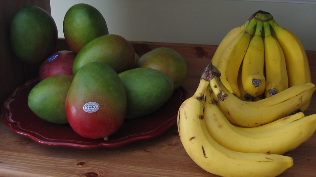 Fruits with rich sugar should be given limited in diet to rabbits.