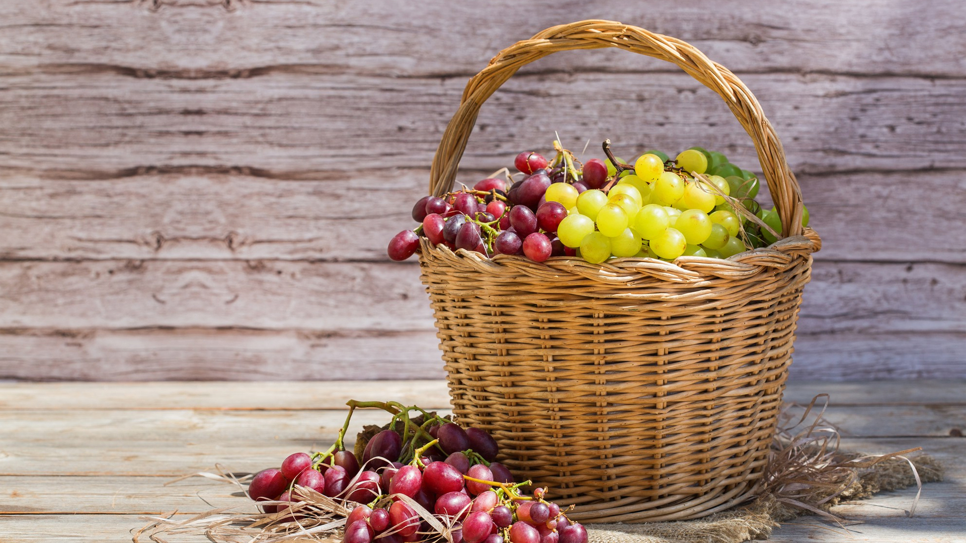 Can Rabbits Eat Grapes?