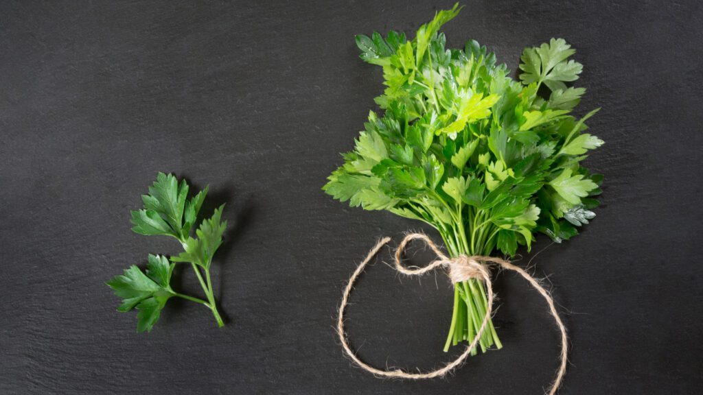 Parsley to give your rabbits rather than chives.