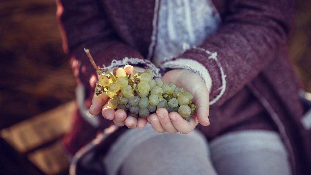 Benefits of eating grapes for rabbits.