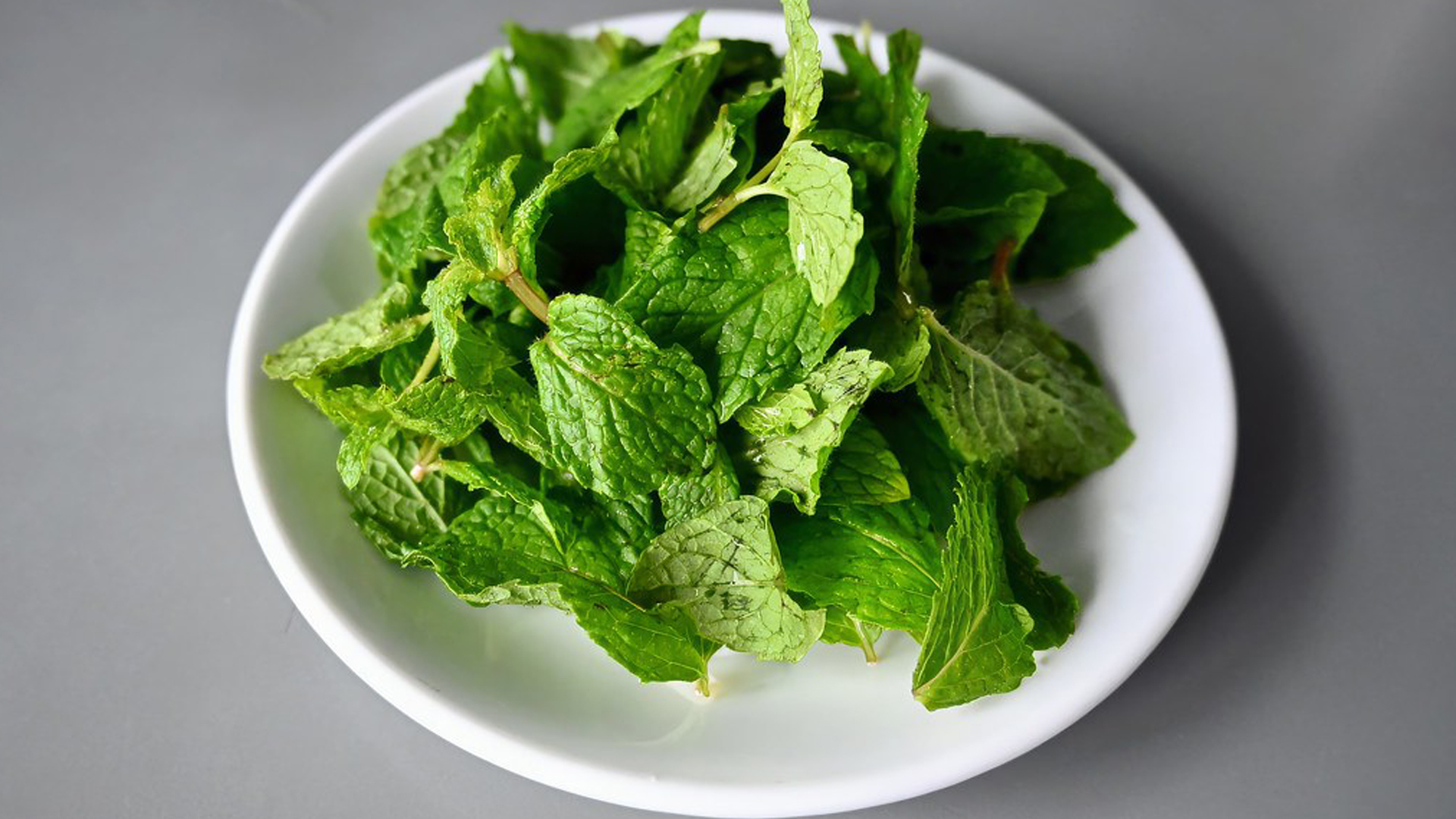 Can rabbits eat mint?