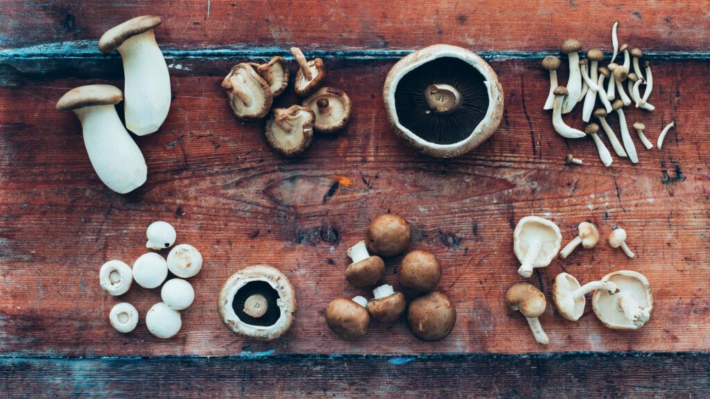 Types of mushrooms.