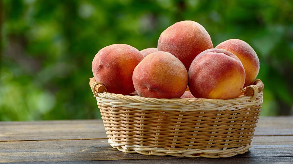 Risk of peaches for rabbits.