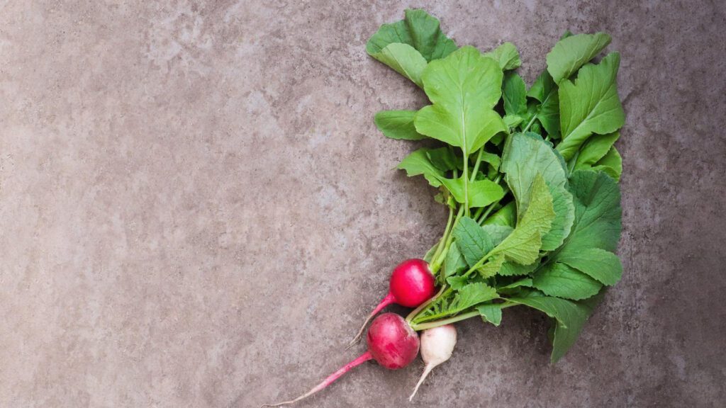 Green leaves in radish have nutrients for rabbits.