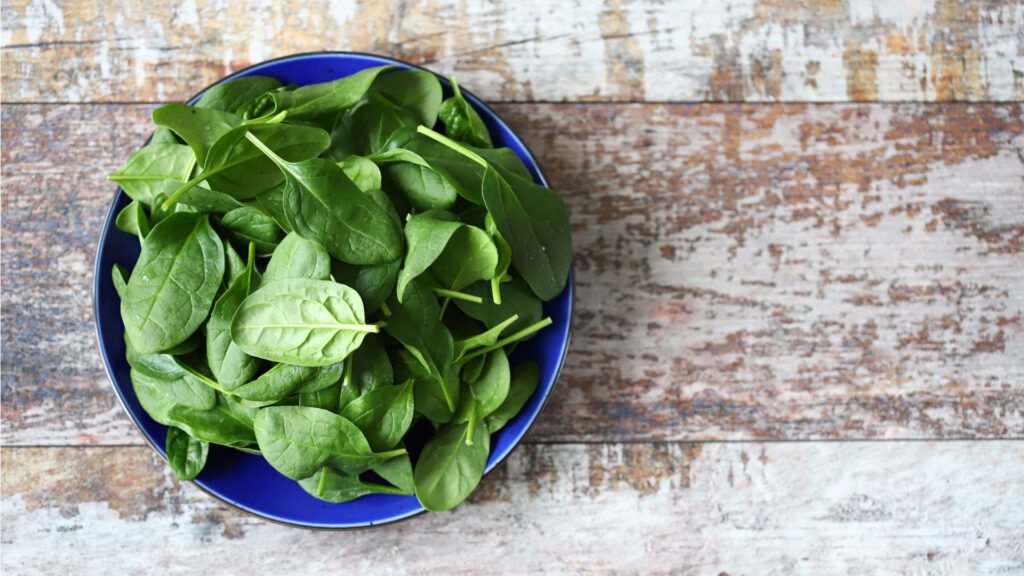 Nutrients in spinach for bunnies to eat.