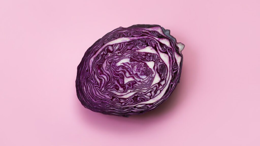 Nutrients in a Red Cabbage.