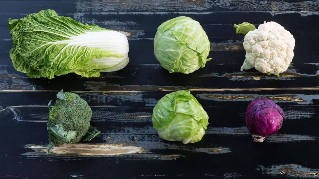 Types of Cabbages.