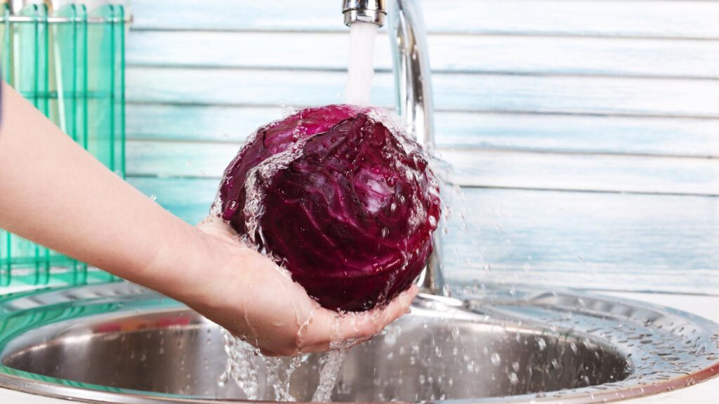 Clean red cabbage before you serve to your pet rabbits.